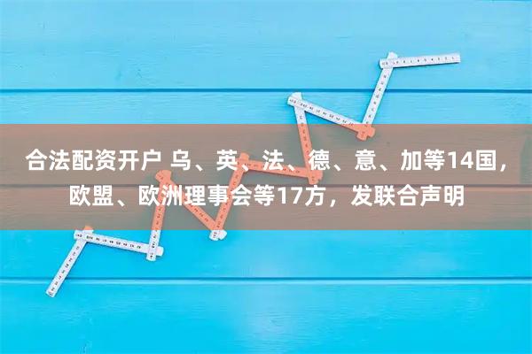 合法配资开户 乌、英、法、德、意、加等14国，欧盟、欧洲理事会等17方，发联合声明