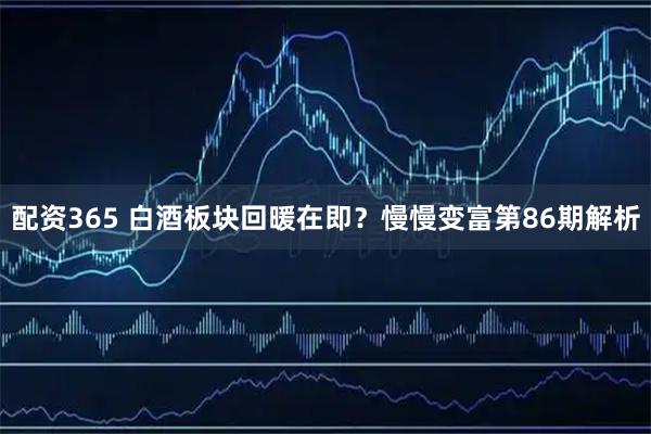 配资365 白酒板块回暖在即？慢慢变富第86期解析